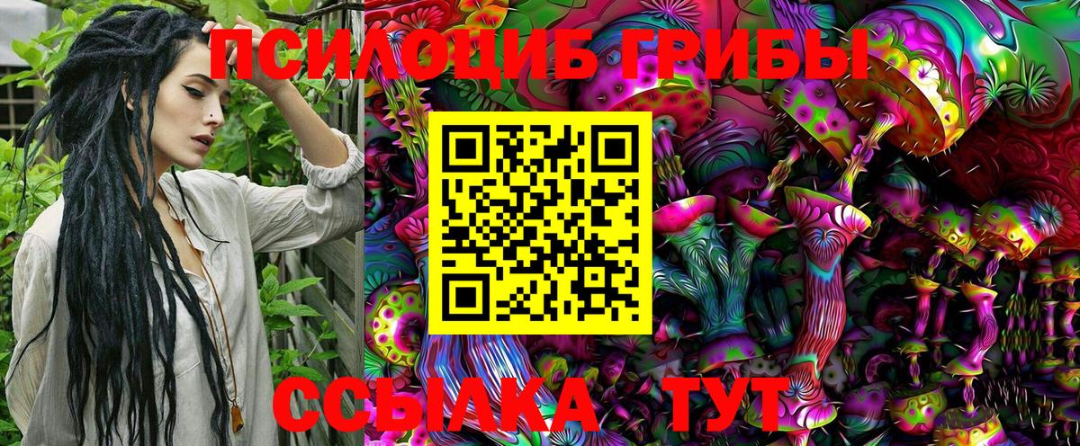 Псилоцибиновые грибы MAGIC MUSHROOMS Саратов